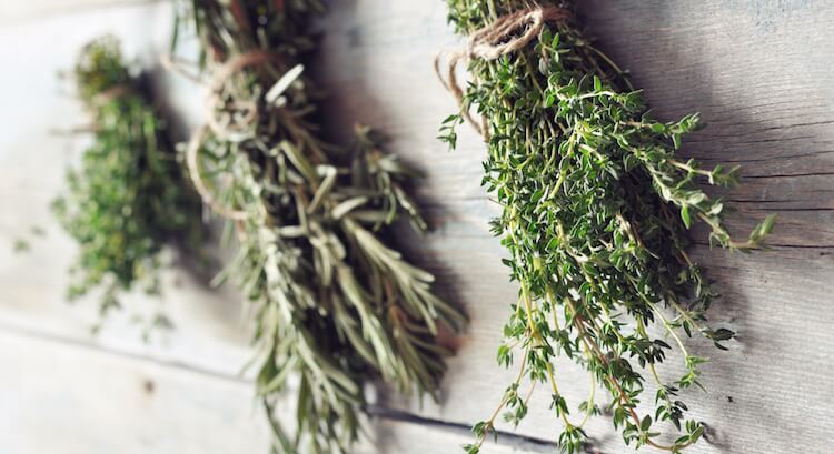 herbs
