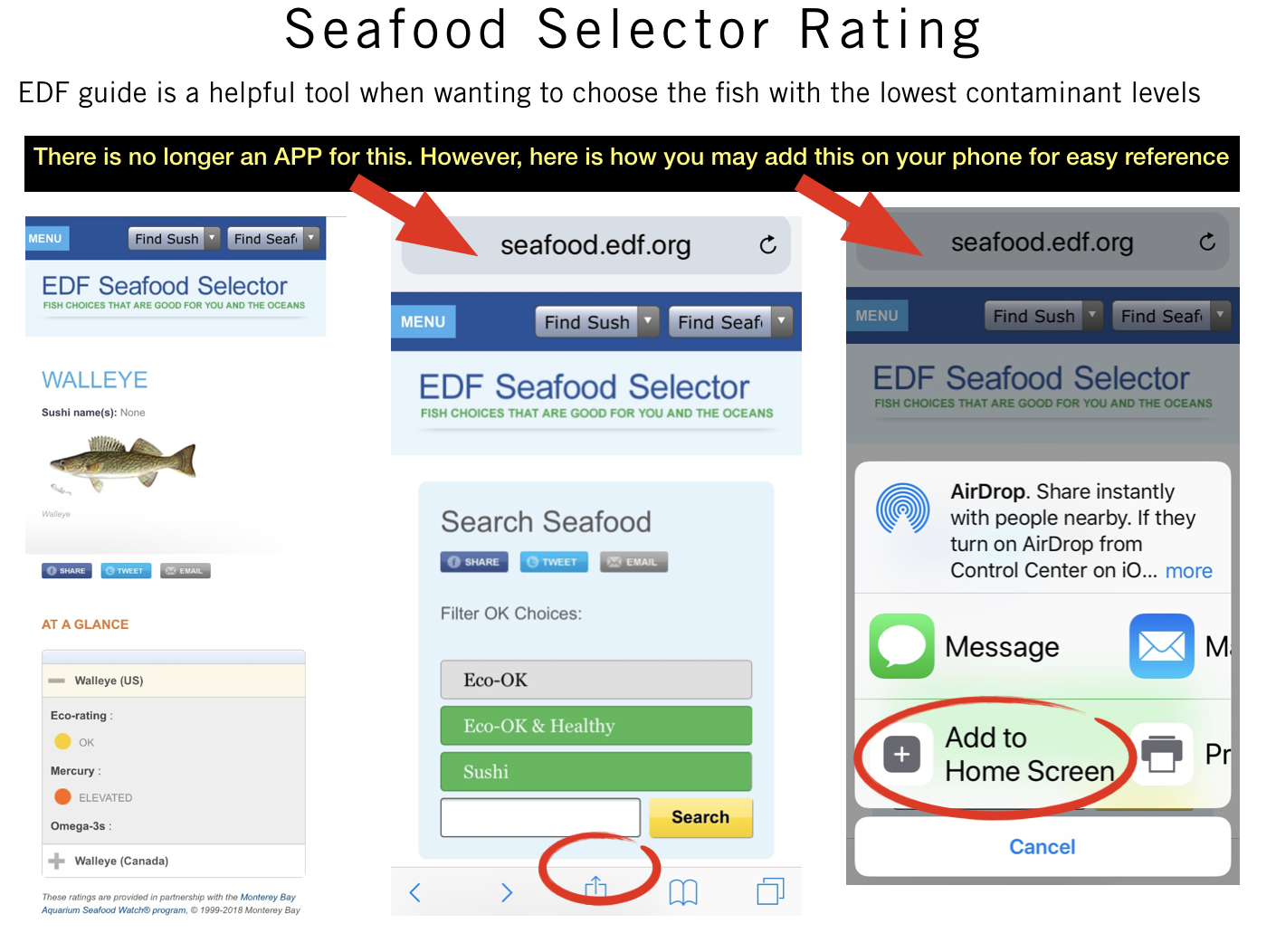 seafood rating